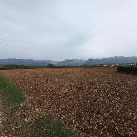 Chez Suzanne